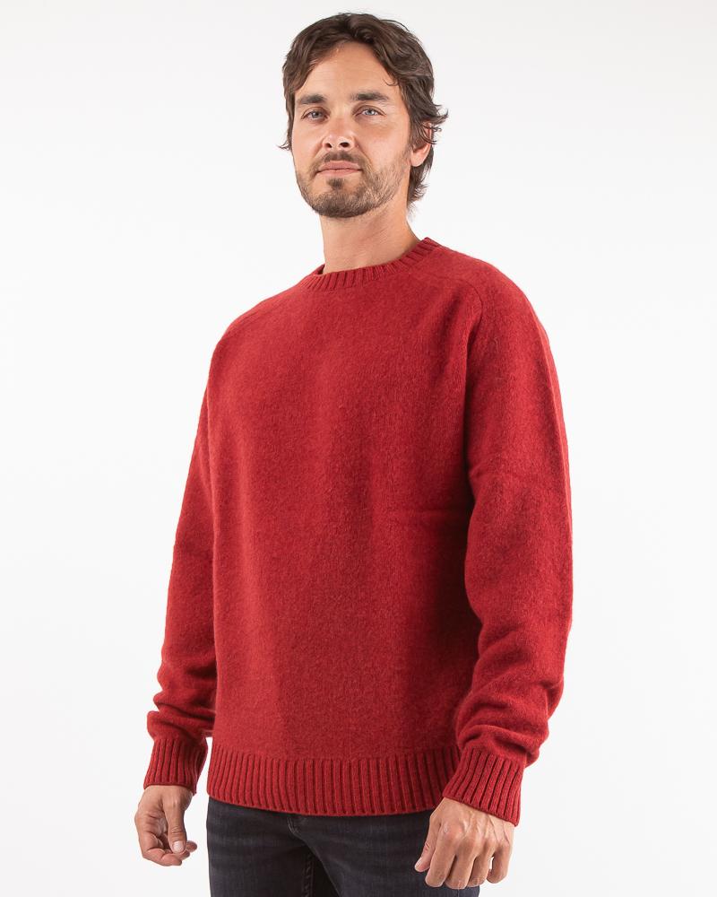 PULL COL ROND SUNHOUSE BORDEAUX