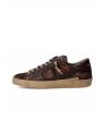 PHILIPPE MODEL  PRSX  WRG1 BROGUE  VINTAGE MARRON