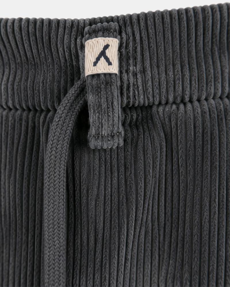 Pantalon MYTHS  Apollo Velours GRIS