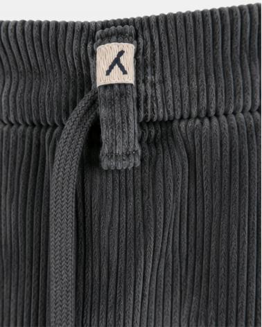 Pantalon MYTHS  Apollo Velours GRIS