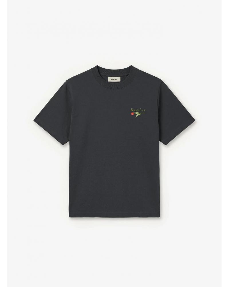 TEE SHIRT BRAMS FRUIT FLORA GRIS