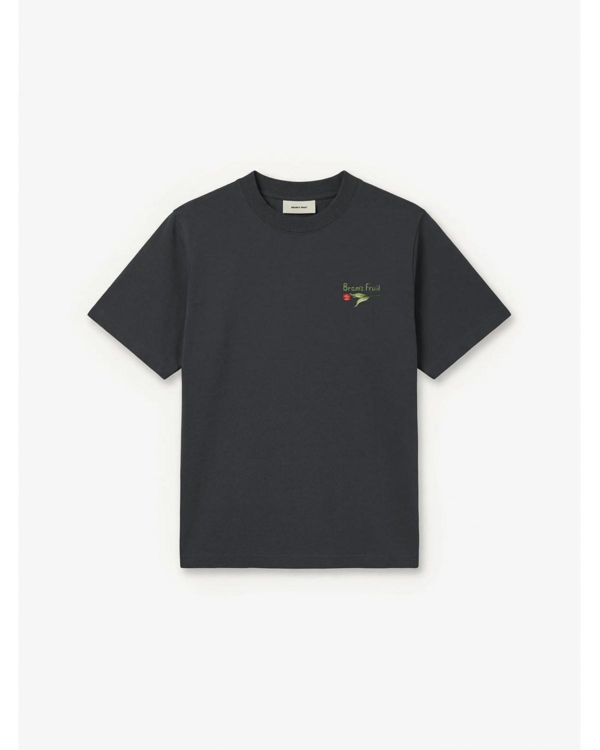 TEE SHIRT BRAMS FRUIT FLORA GRIS